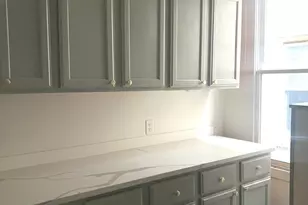 6937 S Merrill Ave, Chicago, IL 60649 - Photo 11