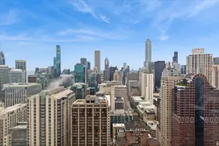 161 E Chicago Ave, Chicago, IL 60611 - Photo 17