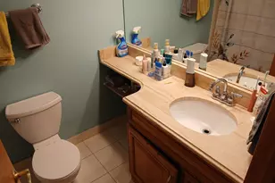11323 S Roberts Rd, Palos Hills, IL 60465 - Photo 11
