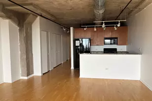 1550 S Blue Island Ave, Chicago, IL 60608 - Photo 7