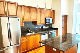 1250 S Indiana Ave, Chicago, IL 60605 - Photo 7