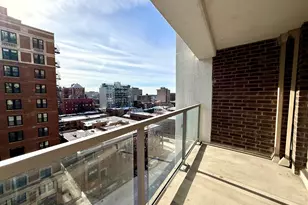 420 W Belmont Ave, Chicago, IL 60657 - Photo 11