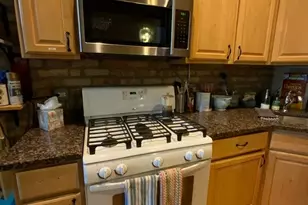 1038 W 32nd St, Chicago, IL 60608 - Photo 11