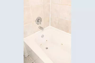 807 W 14th Place #1B, Chicago, IL 60608 - Photo 15