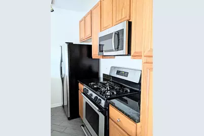 807 W 14th Place #1B, Chicago, IL 60608 - Photo 7