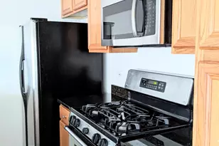 807 W 14th Pl, Chicago, IL 60608 - Photo 7