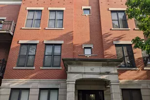 807 W 14th Pl, Chicago, IL 60608 - Photo 3