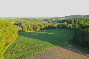 3340 W Longhollow Rd, Elizabeth, IL 61028 - Photo 35