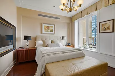 159 E Walton Place #22A, Chicago, IL 60611 - Photo 33