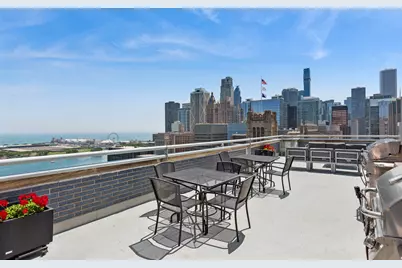 222 E Pearson Street #2408, Chicago, IL 60611 - Photo 17
