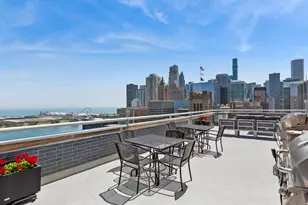 222 E Pearson St, Chicago, IL 60611 - Photo 17