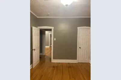 340 S Homan Street, Chicago, IL 60624 - Photo 33