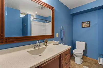 17 Deer Run Road, Orion, IL 61273 - Photo 31