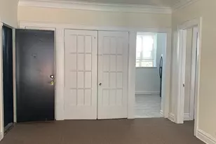 5172 S King Dr, Chicago, IL 60615 - Photo 9