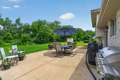 717 Naoma Drive, Crete, IL 60417 - Photo 31