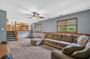 717 Naoma Dr, Crete, IL 60417 - Photo 19