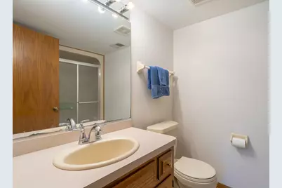 717 Naoma Drive, Crete, IL 60417 - Photo 23