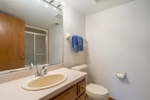 717 Naoma Dr, Crete, IL 60417 - Photo 23