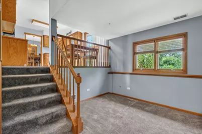 717 Naoma Drive, Crete, IL 60417 - Photo 17