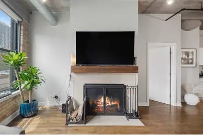 411 W Ontario Street #312, Chicago, IL 60654 - Photo 5