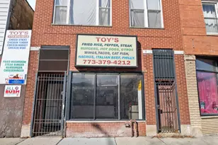 336 S Laramie Ave, Chicago, IL 60644 - Photo 1