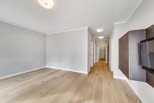 198 N Park Dr, Chicago, IL 60601 - Photo 11
