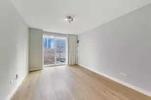 198 N Park Dr, Chicago, IL 60601 - Photo 15