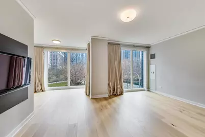 198 N Park Drive #198, Chicago, IL 60601 - Photo 9