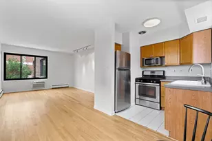 455 W St James Pl, Chicago, IL 60614 - Photo 11