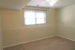 116 Crabapple Ln, Morris, IL 60450 - Photo 17