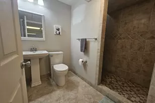 112 Pheasant Run, Chicago, IL 62898 - Photo 37