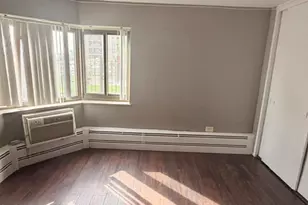 7337 S South Shore Dr, Chicago, IL 60649 - Photo 21