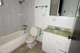 709 Spring Ct, University Park, IL 60484 - Photo 7