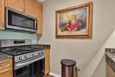 7243 Madison Street #204, Forest Park, IL 60130 - Photo 11