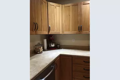 3060 N Leaf River Road, Mount Morris, IL 61054 - Photo 3