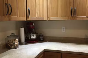 3060 N Leaf River Rd, Mount Morris, IL 61054 - Photo 3