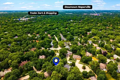 1159 Hobson Mill Drive, Naperville, IL 60540 - Photo 45