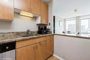 111 E Chestnut St, Chicago, IL 60611 - Photo 7