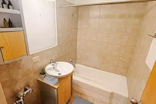 7337 S South Shore Dr, Chicago, IL 60649 - Photo 11