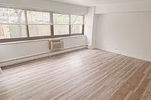 7337 S South Shore Dr, Chicago, IL 60649 - Photo 21