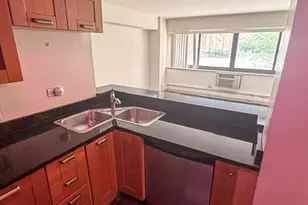 7337 S South Shore Dr, Chicago, IL 60649 - Photo 15