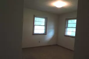 360 S Washington St, Braidwood, IL 60408 - Photo 17