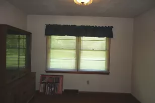 360 S Washington St, Braidwood, IL 60408 - Photo 13