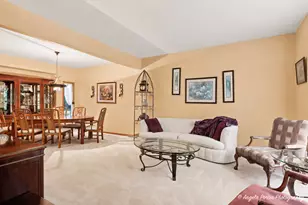 8919 Tahoe Ln, Spring Grove, IL 60081 - Photo 23