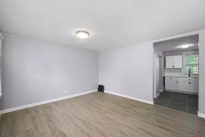 11347 S Ada Street, Chicago, IL 60643 - Photo 3