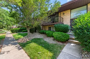 16036 Pine Dr, Tinley Park, IL 60477 - Photo 1