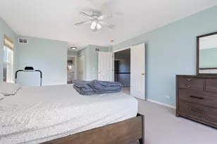 9 Lake Plumleigh Ct, Algonquin, IL 60102 - Photo 19