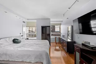 512 N McClurg Ct, Chicago, IL 60611 - Photo 9