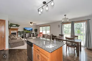 1013 Heron Ave, Peotone, IL 60468 - Photo 9