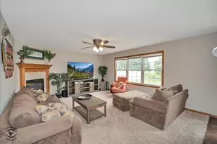 1013 Heron Ave, Peotone, IL 60468 - Photo 5
